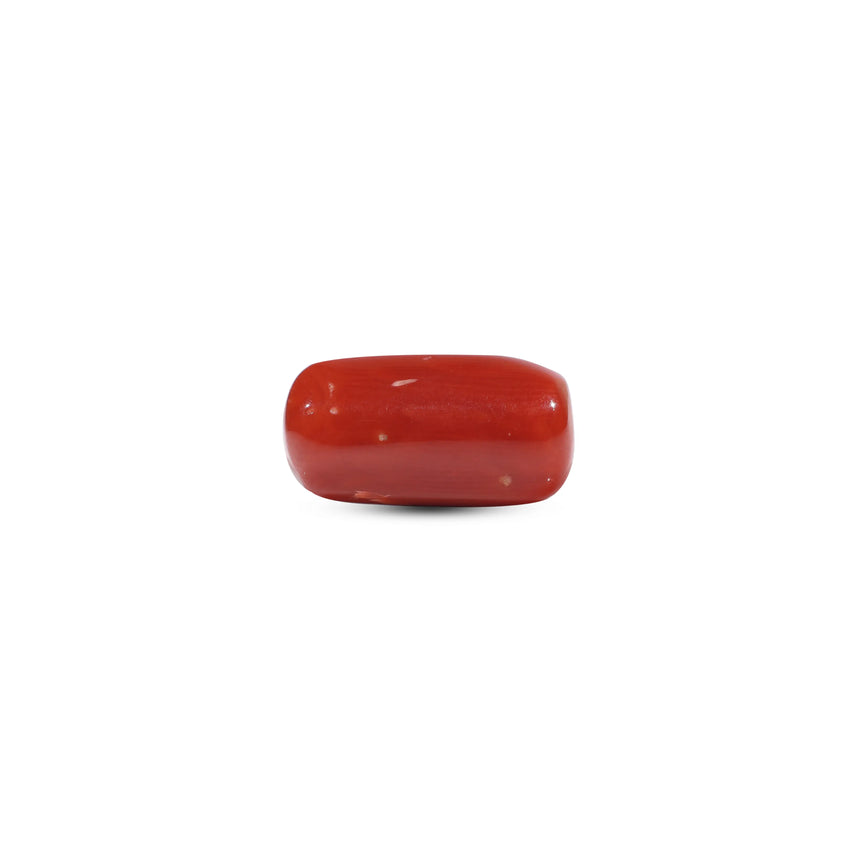 Red Coral - 6.75 Carat