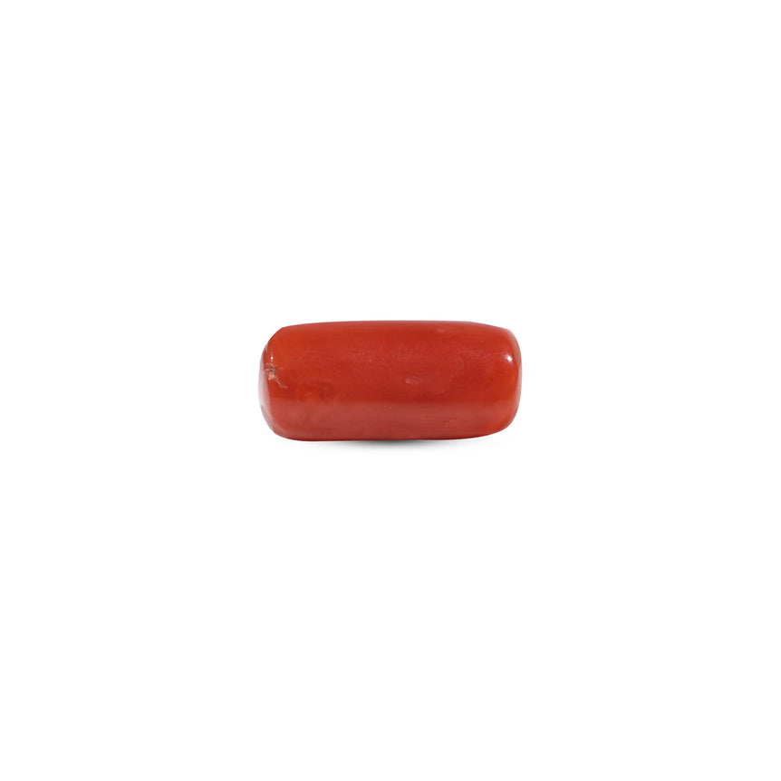 Red Coral - 7.2 Carat