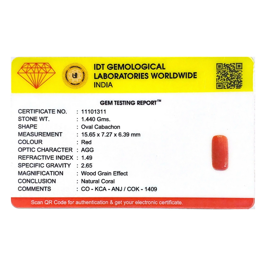 Red Coral - 7.2 Carat