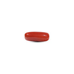 Red Coral - 7 Carat - Pramogh