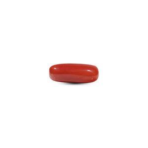 Red Coral - 7 Carat - Pramogh