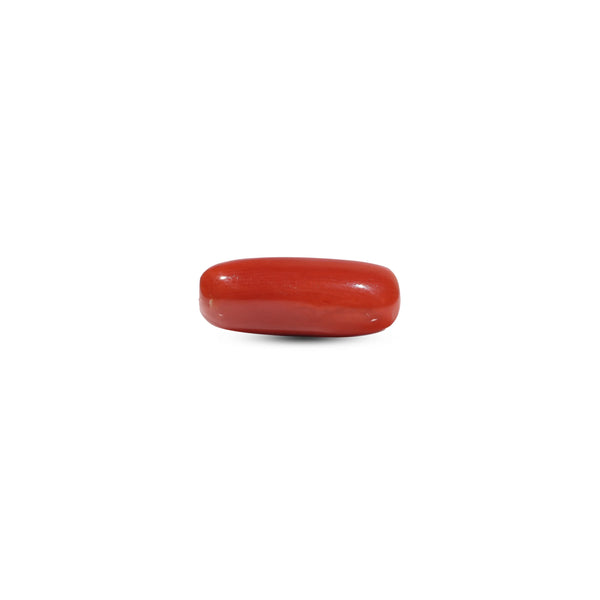Red Coral - 7 Carat - Pramogh