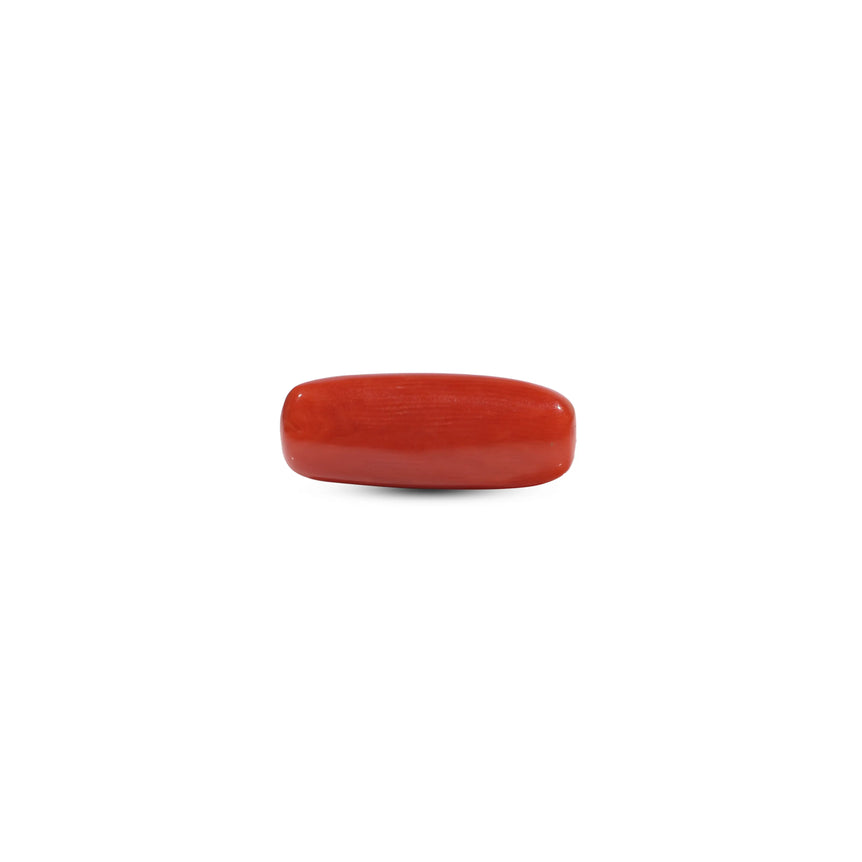 Red Coral - 7 Carat