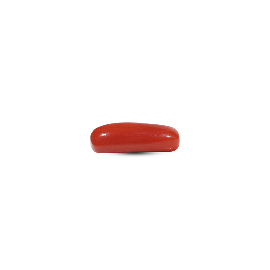 Red Coral - 7 Carat
