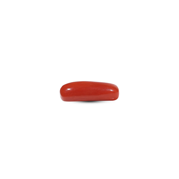 Red Coral - 7 Carat