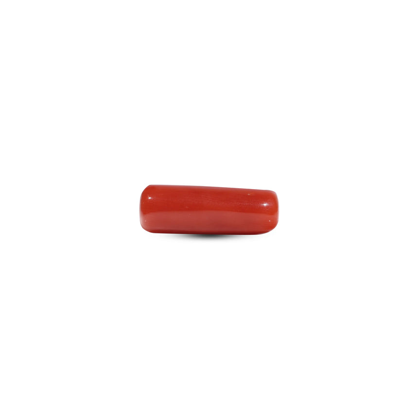 Red Coral - 6.7 Carat - Pramogh