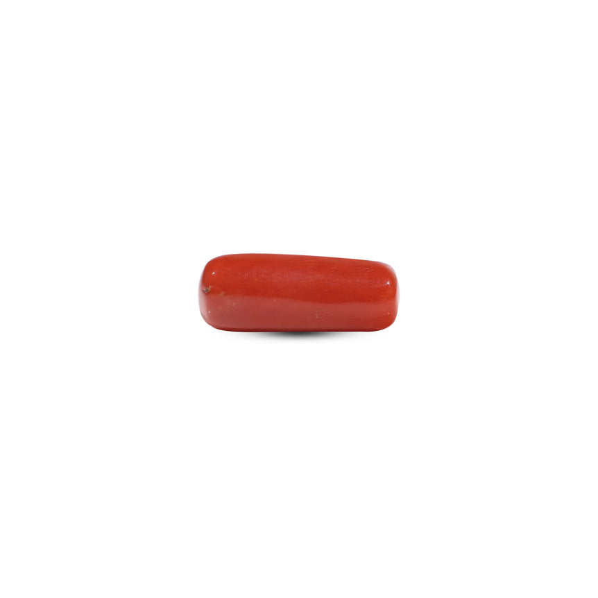 Red Coral - 7.25 Carat