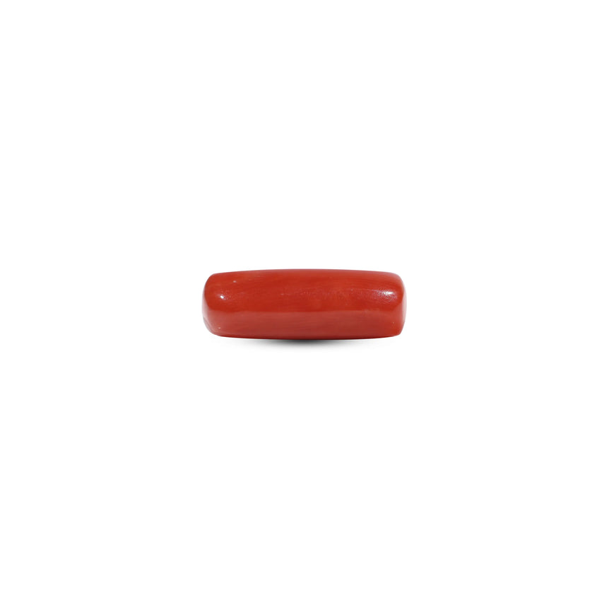 Red Coral - 7.25 Carat