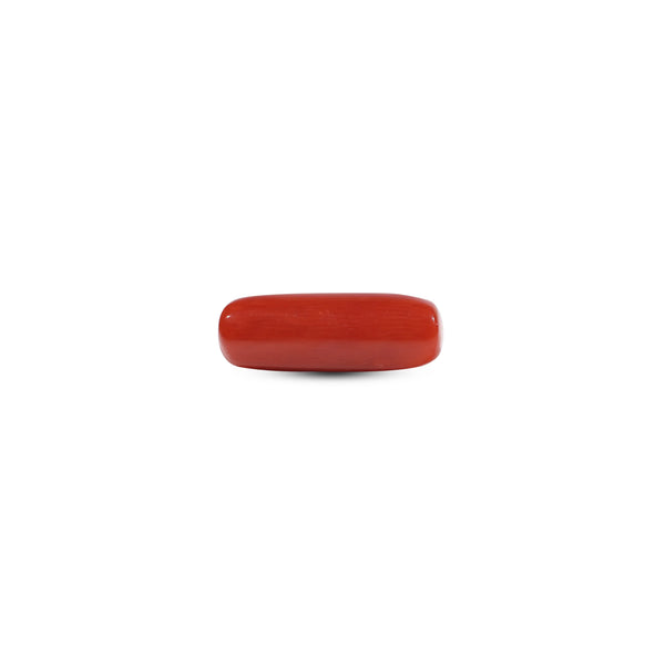 Red Coral - 6.55 Carat