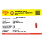 Red Coral - 6.55 Carat