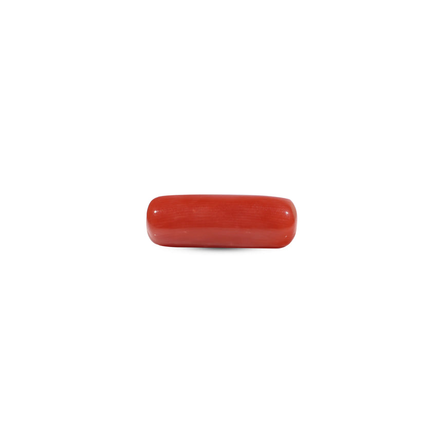 Red Coral - 7.3 Carat - Pramogh