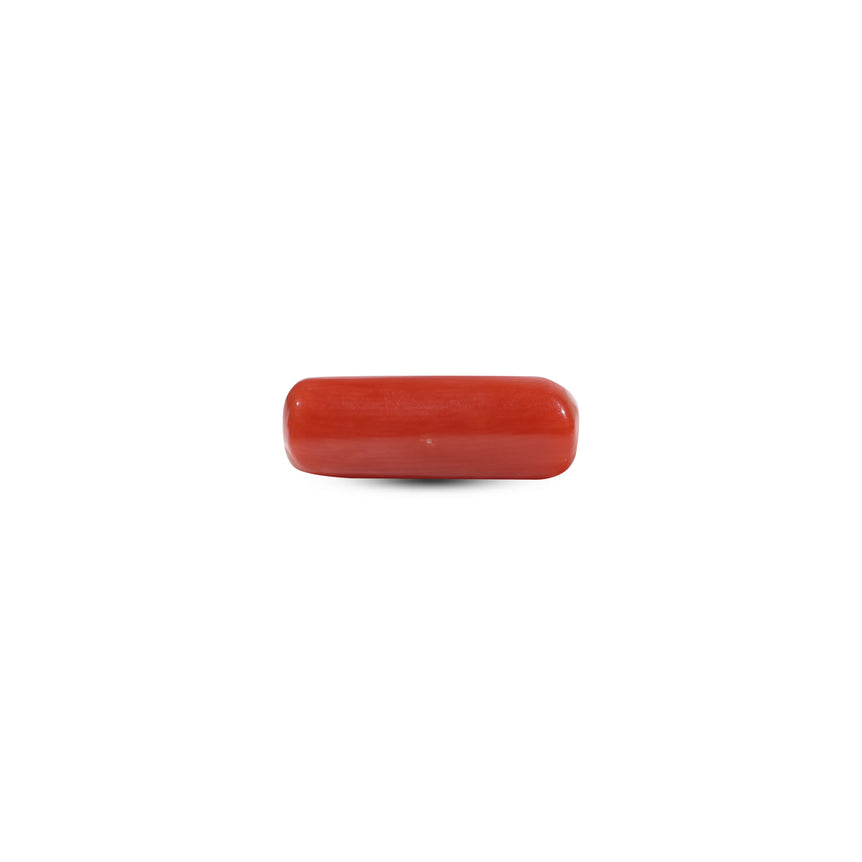 Red Coral - 7.3 Carat