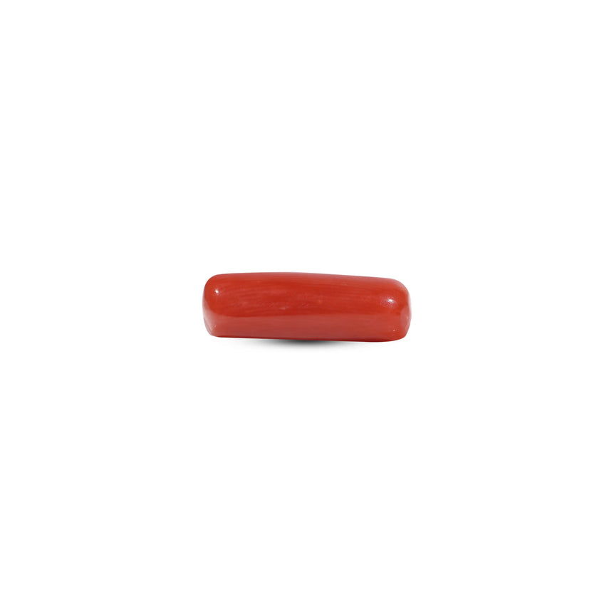 Red Coral - 7.3 Carat