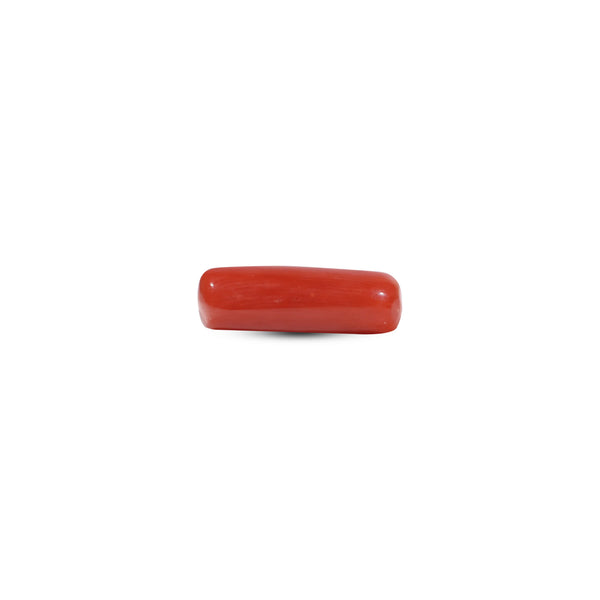 Red Coral - 7.3 Carat