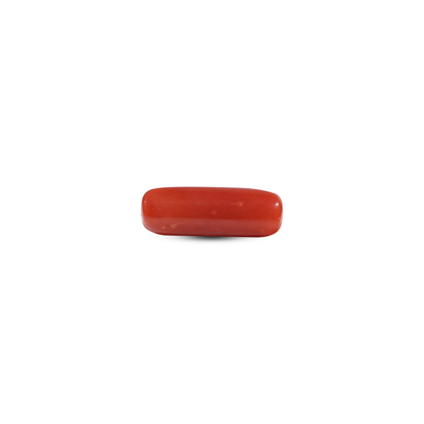 Red Coral - 7.3 Carat