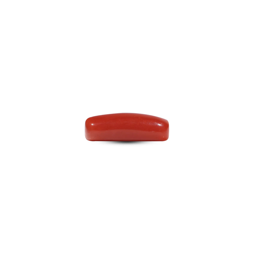Red Coral - 7.3 Carat