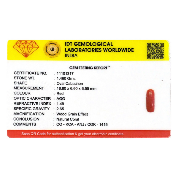 Red Coral - 7.3 Carat