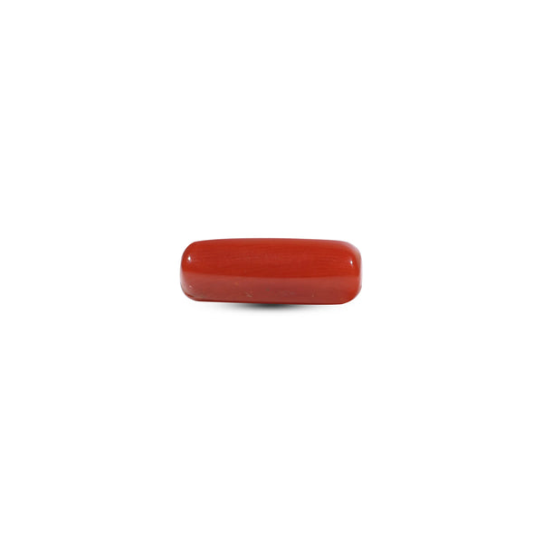 Red Coral - 6.05 Carat - Pramogh