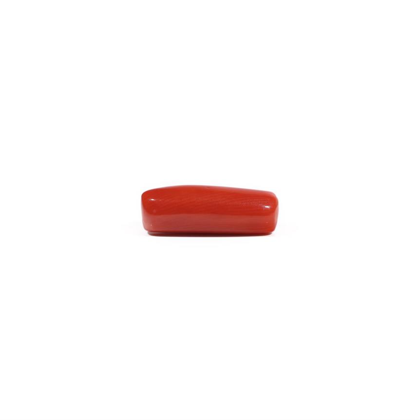 Red Coral - 6.7 Carat