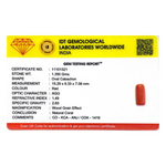 Red Coral - 6.75 Carat