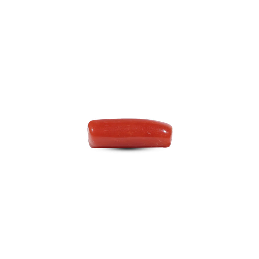 Red Coral - 6.3 Carat