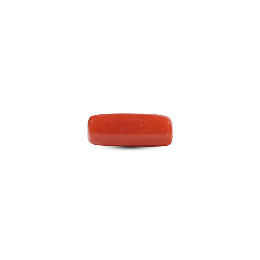 Red Coral - 7.05 Carat