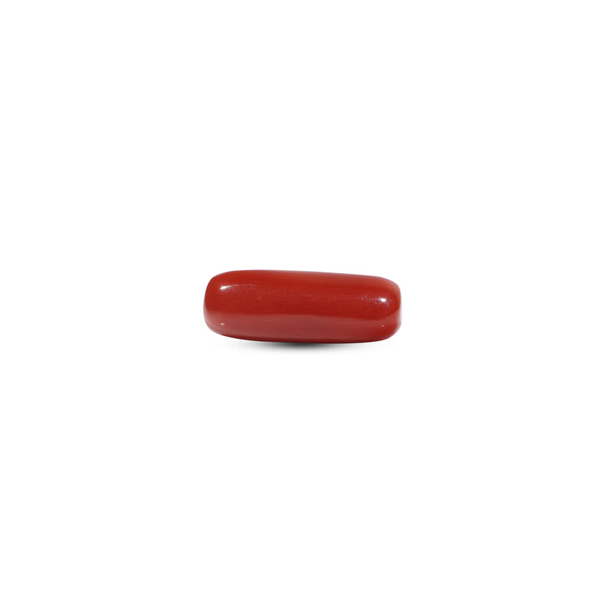 Red Coral - 7.05 Carat - Pramogh