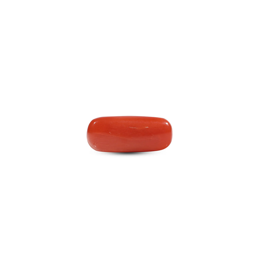 Red Coral - 6.05 Carat