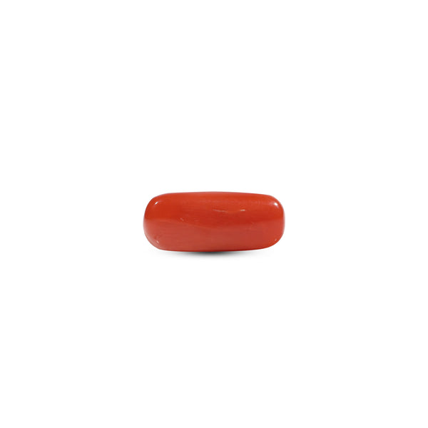Red Coral - 6.05 Carat