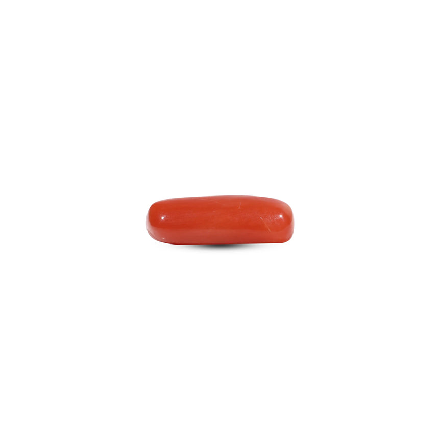 Red Coral - 6.05 Carat