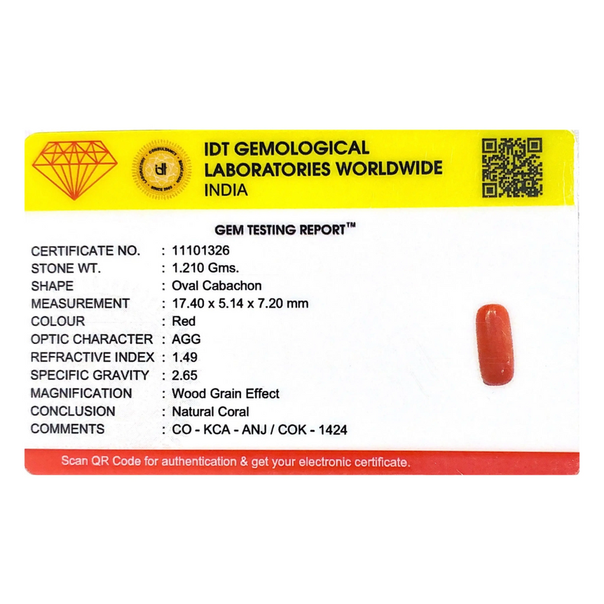 Red Coral - 6.05 Carat