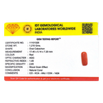 Red Coral - 6.05 Carat