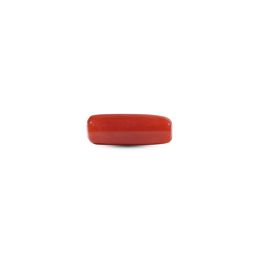 Red Coral - 5.85 Carat