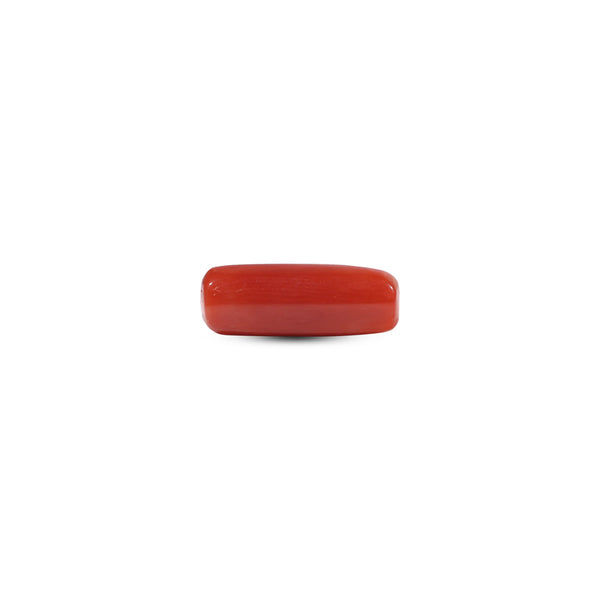 Red Coral - 5.85 Carat