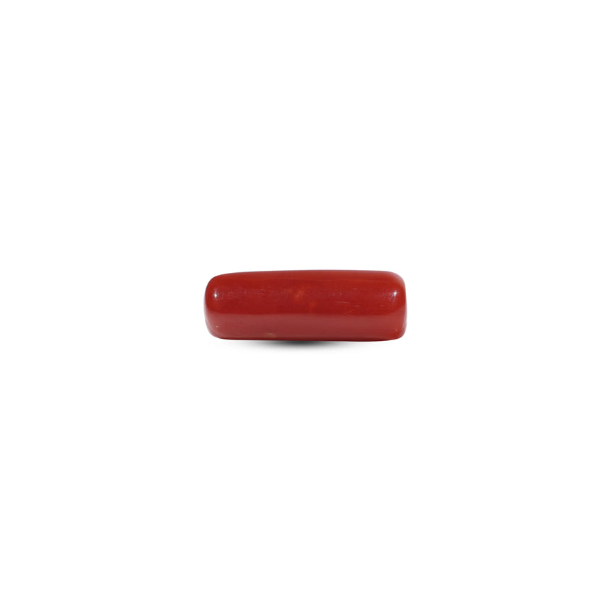 Red Coral - 6.6 Carat - Pramogh