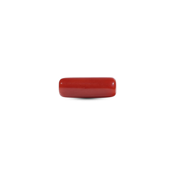 Red Coral - 6.6 Carat