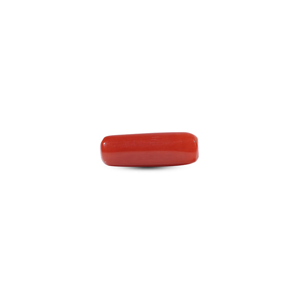 Red Coral - 5.95 Carat