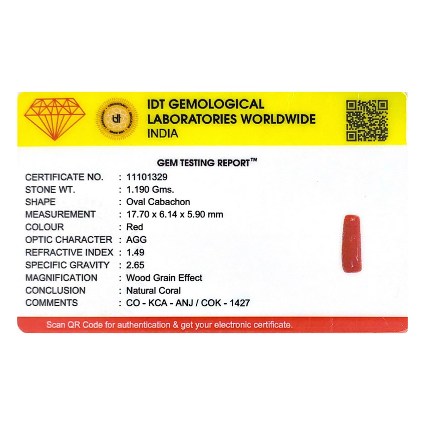 Red Coral - 5.95 Carat