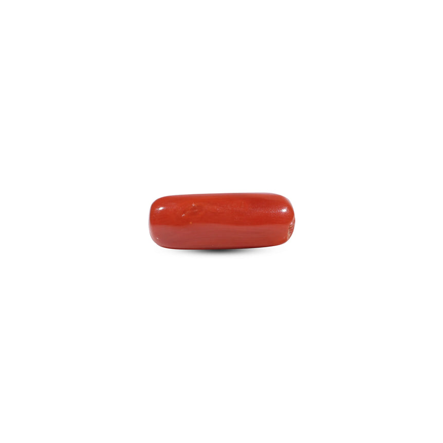 Red Coral - 7.2 Carat - Pramogh