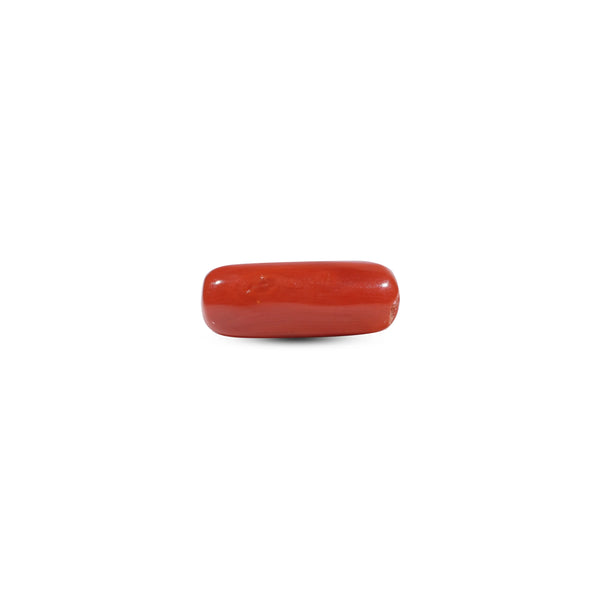 Red Coral - 7.2 Carat - Pramogh