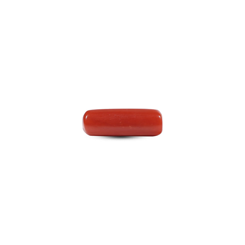 Red Coral - 6 Carat