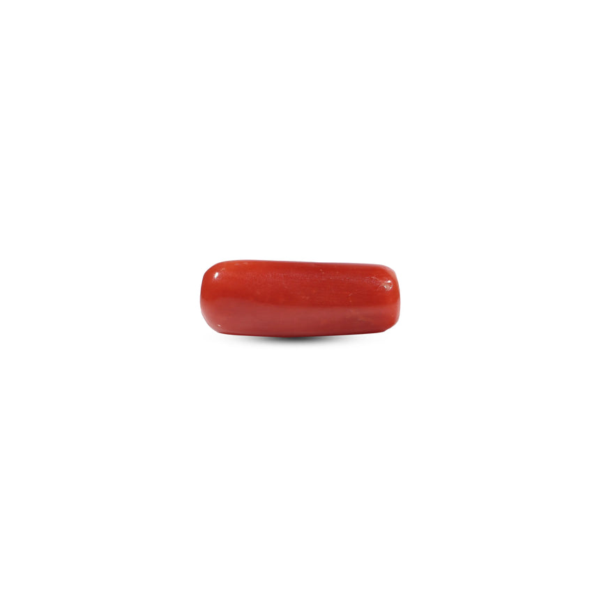 Red Coral - 6.8 Carat