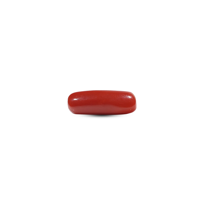 Red Coral - 6.8 Carat - Pramogh