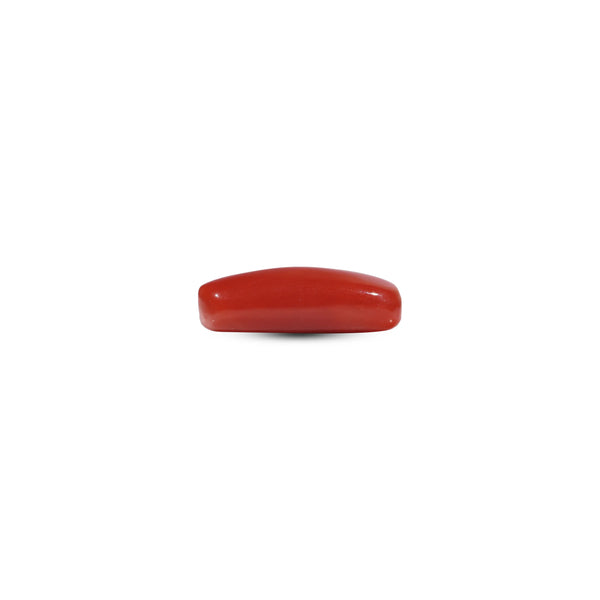 Red Coral - 6.8 Carat