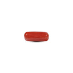 Red Coral - 6.15 Carat - Pramogh