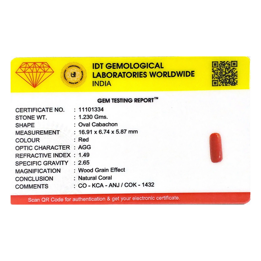 Red Coral - 6.15 Carat