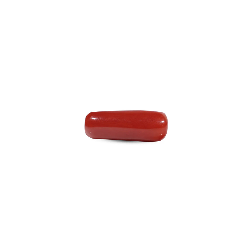 Red Coral - 6.65 Carat - Pramogh