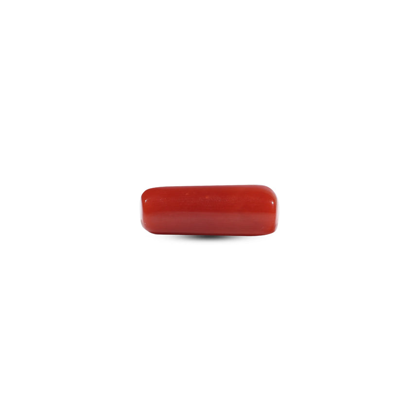 Red Coral - 6.65 Carat
