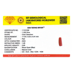 Red Coral - 6.65 Carat