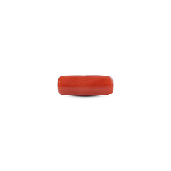 Red Coral - 6 Carat